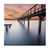 双生児のつば タイル (正面)