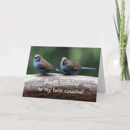 双生児のバースデー・カードへのハッピーバースデー カード (正面)