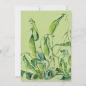 双生児の赤ちゃん男女兼用シャワーの2つの豆 招待状 (裏面)