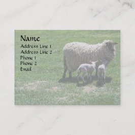 双生児を持つ雌ヒツジ 名刺