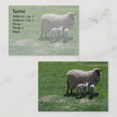双生児を持つ雌ヒツジ 名刺 (正面/裏面)