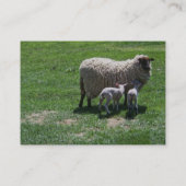 双生児を持つ雌ヒツジ 名刺 (裏面)