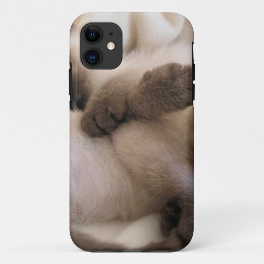 双生児ペット猫のかわいいシャムの子ネコ Case-Mate iPhoneケース (裏面)