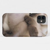 双生児ペット猫のかわいいシャムの子ネコ Case-Mate iPhoneケース (裏面(横))