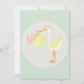 双生児男の子および女の子のベビーシャワーの招待状 招待状 (裏面)