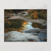 反カラフル射 ポストカード (正面)