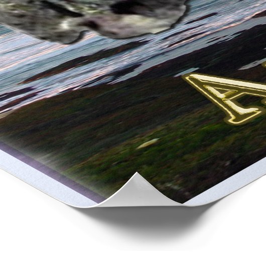 反キテラ機構 ポスター (角)