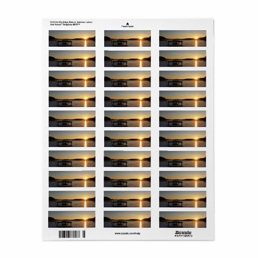 反凍ってい射 ラベル (フルシート)