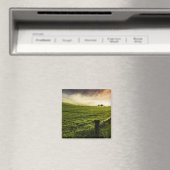 反対側で常に緑 マグネット (インサイチュ (食洗機))