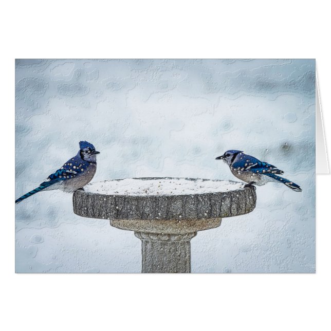 反対側のパインタリー (正面横)