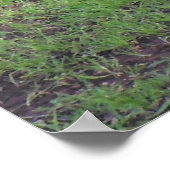 反対意見のポスター ポスター (角)