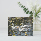 反射する湖の鳥好きな姿を見せる白鳥 ポストカード (スタンド正面)