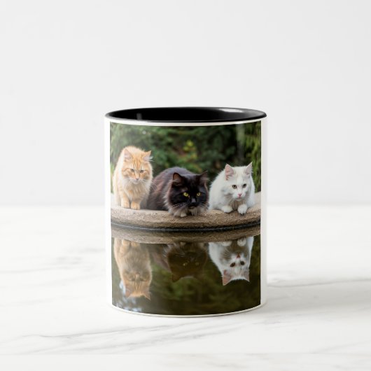 反射する猫の友人:2トーンのセラミックマグカップ ツートーンマグカップ (中央)