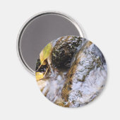 反射する秋のストリーム磁石 マグネット (正面/裏面)