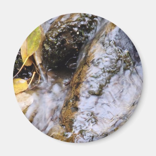 反射する秋のストリーム磁石 マグネット (正面)