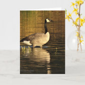 反射の水のカナダのガチョウ カード (黄色い花)