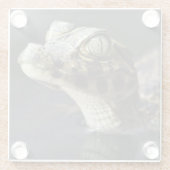 反射の水の若いカイマン ガラスコースター (裏面)