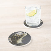 反射の水の若いカイマン コースター (側面)