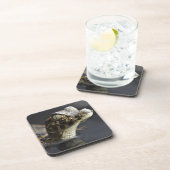 反射の水の若いカイマン コースター (右側)