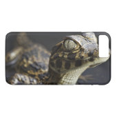 反射の水の若いカイマン Case-Mate iPhoneケース (裏面(横))