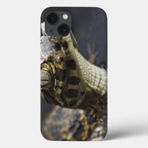 反射の水の若いカイマン iPhone 13ケース