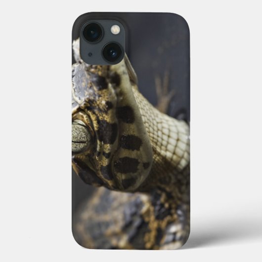 反射の水の若いカイマン Case-Mate iPhoneケース (裏面)