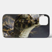 反射の水の若いカイマン Case-Mate iPhoneケース (裏面 (横))