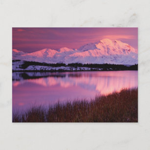 反射の池から日没のデナリ山 ポストカード