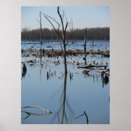 反射の熟考 ポスター