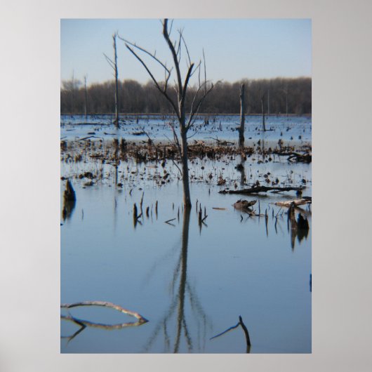 反射の熟考 ポスター (正面)