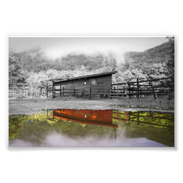 反射の色プリント フォトプリント           