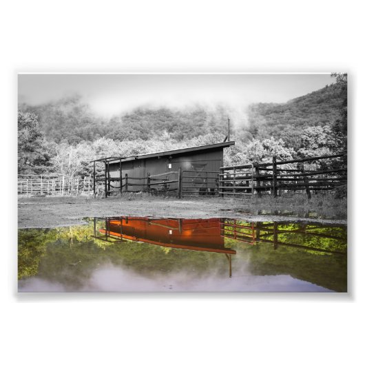 反射の色プリント フォトプリント            (正面)