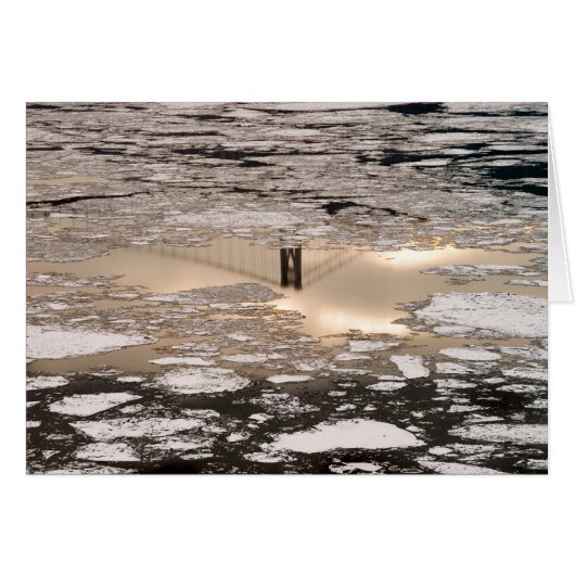 反射の金ゴールド (正面横)