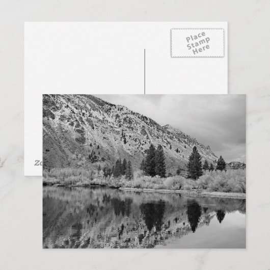 反射はがき ポストカード (正面/裏面)