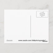 反射はがき ポストカード (裏面)