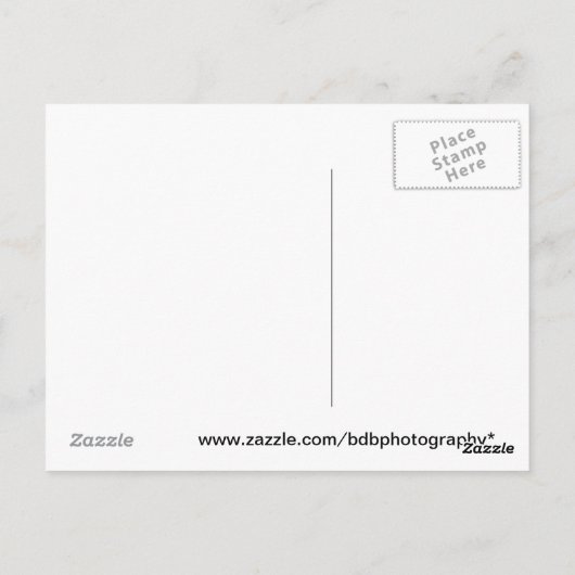 反射はがき ポストカード (裏面)