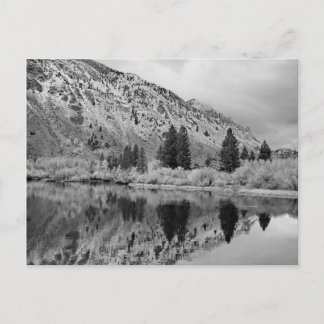 反射はがき ポストカード