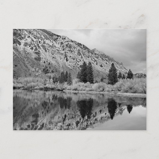 反射はがき ポストカード (正面)