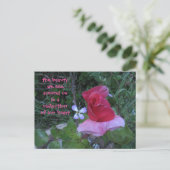 反射はがき ポストカード (スタンド正面)