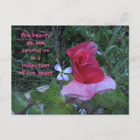 反射はがき ポストカード (正面)