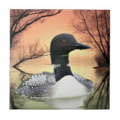 反射を見る タイル (正面)