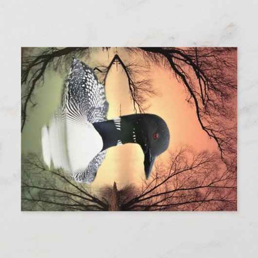 反射を見る ポストカード (正面)