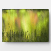 反射イン鏡湖 |ヨセミテ フォトプラーク (正面)