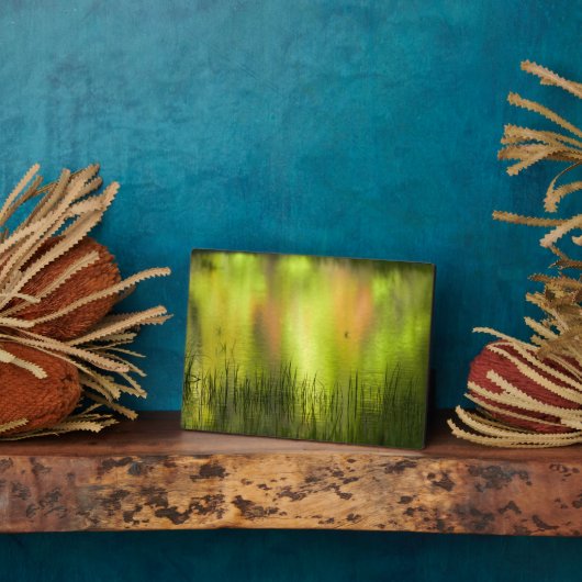 反射イン鏡湖 |ヨセミテ フォトプラーク (側面)