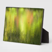 反射イン鏡湖 |ヨセミテ フォトプラーク (側面)