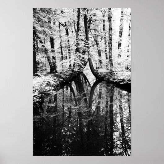 反射コントラストWapcna ポスター (正面)