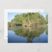 反射ツリー ポストカード (正面/裏面)