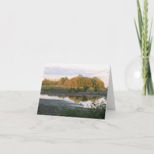 反射ツリー – 空白の Greeting Card カード