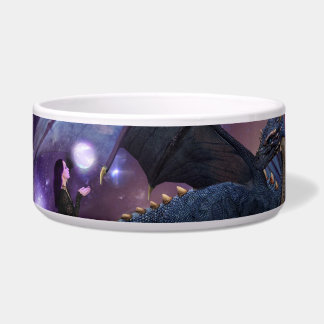 反射ドラゴンのプール ボウル