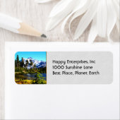 反射レイク ラベル (インサイチュ)